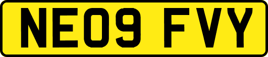NE09FVY
