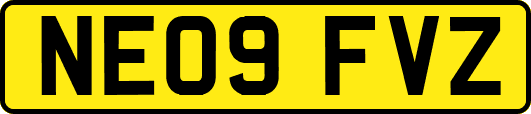 NE09FVZ