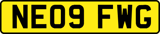 NE09FWG