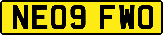 NE09FWO