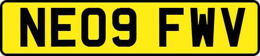 NE09FWV
