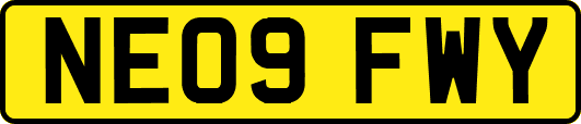 NE09FWY
