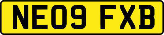 NE09FXB