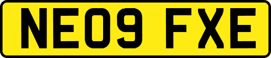 NE09FXE