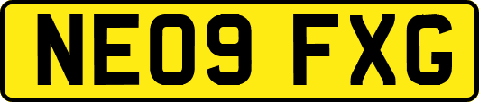 NE09FXG
