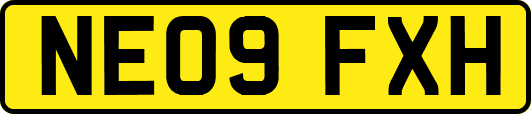 NE09FXH