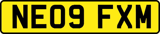 NE09FXM