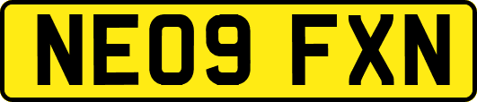 NE09FXN