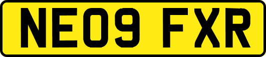 NE09FXR