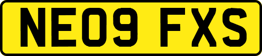 NE09FXS