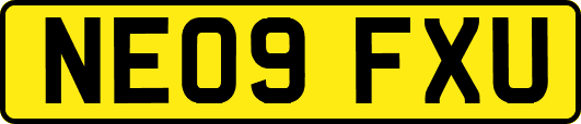 NE09FXU