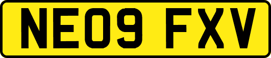 NE09FXV