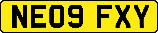 NE09FXY