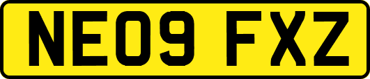 NE09FXZ