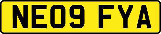 NE09FYA