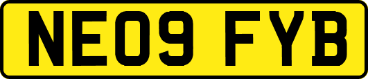 NE09FYB