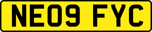 NE09FYC