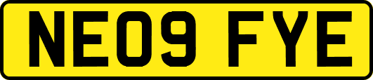 NE09FYE