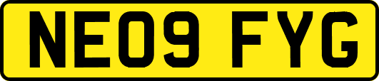 NE09FYG