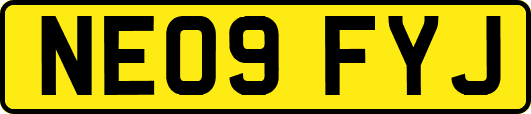 NE09FYJ