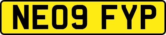 NE09FYP