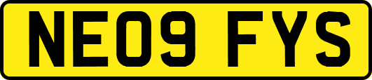 NE09FYS