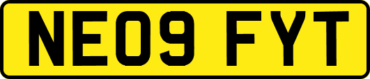 NE09FYT