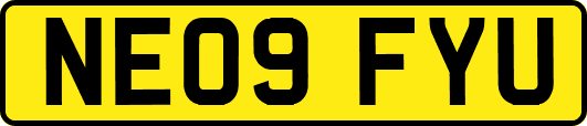 NE09FYU