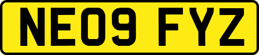 NE09FYZ