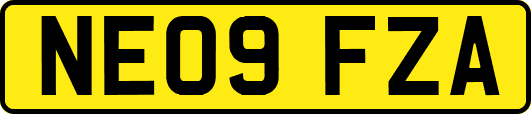 NE09FZA