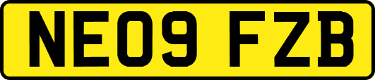 NE09FZB