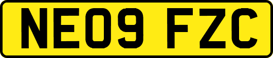 NE09FZC
