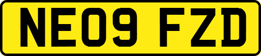 NE09FZD