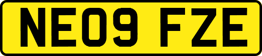NE09FZE