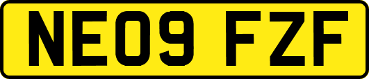 NE09FZF