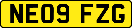 NE09FZG