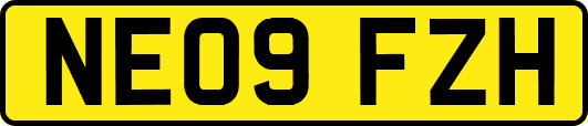 NE09FZH