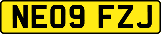 NE09FZJ