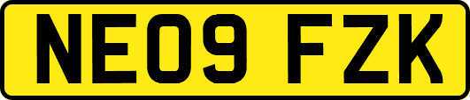 NE09FZK