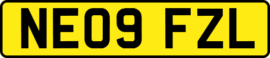 NE09FZL