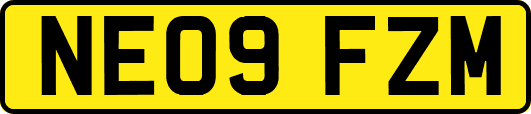 NE09FZM
