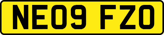 NE09FZO