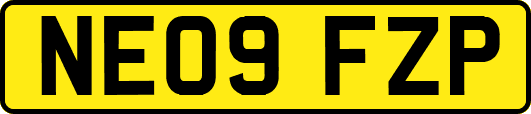 NE09FZP