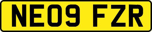 NE09FZR