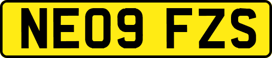 NE09FZS
