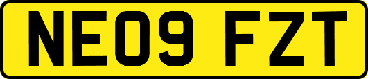 NE09FZT