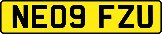 NE09FZU