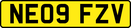 NE09FZV