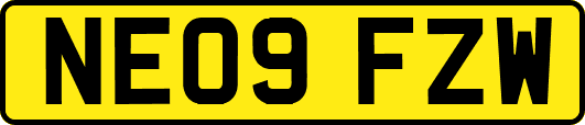 NE09FZW