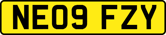 NE09FZY